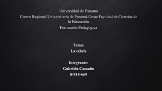 Universidad de Panamá
Centro Regional Universitario de Panamá Oeste Facultad de Ciencias de
la Educación
Formación Pedagógica
Tema:
La célula
Integrante:
Gabriela Camaño
8-914-669
 
