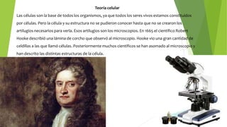 Teoría celular
Las células son la base de todos los organismos, ya que todos los seres vivos estamos constituidos
por células. Pero la célula y su estructura no se pudieron conocer hasta que no se crearon los
artilugios necesarios para verla. Esos artilugios son los microscopios. En 1665 el científico Robert
Hooke describió una lámina de corcho que observó al microscopio. Hooke vio una gran cantidad de
celdillas a las que llamó células. Posteriormente muchos científicos se han asomado al microscopio y
han descrito las distintas estructuras de la célula.
 
