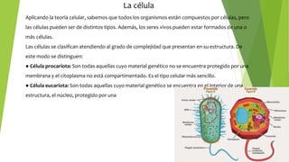 La célula
Aplicando la teoría celular, sabemos que todos los organismos están compuestos por células, pero
las células pueden ser de distintos tipos. Además, los seres vivos pueden estar formados de una o
más células.
Las células se clasifican atendiendo al grado de complejidad que presentan en su estructura. De
este modo se distinguen:
● Célula procariota: Son todas aquellas cuyo material genético no se encuentra protegido por una
membrana y el citoplasma no está compartimentado. Es el tipo celular más sencillo.
● Célula eucariota: Son todas aquellas cuyo material genético se encuentra en el interior de una
estructura, el núcleo, protegido por una
 