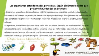 Los organismos están formados por células. Según el número de ellas que
presenten pueden ser de dos tipos:
● Organismos unicelulares: Son aquellos que están formados por una sola célula. La célula realiza todas las
funciones vitales. Pueden ser procariotas o eucariotas. Ejemplo de este tipo de organismos son las bacterias, las
algas cianofíceas, los protozoos y muchas algas eucariotas. A veces viven en grupos estables, denominados
colonias.
● Organismos pluricelulares: Son seres vivos, todos ellos eucariotas, formados por muchas células. Todas las
células del organismo han surgido a partir de una única célula que ha formado a las demás. Por ello, todas las
células presentan la misma información genética, aunque no la expresen de la misma manera. Las células no
sobreviven aisladas, ya que pierden algunas capacidades, con el fin de especializarse en una función concreta.
 