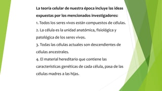 La teoría celular de nuestra época incluye las ideas
expuestas por los mencionados investigadores:
1. Todos los seres vivos están compuestos de células.
2. La célula es la unidad anatómica, fisiológica y
patológica de los seres vivos.
3. Todas las células actuales son descendientes de
células ancestrales.
4. El material hereditario que contiene las
características genéticas de cada célula, pasa de las
células madres a las hijas.
 