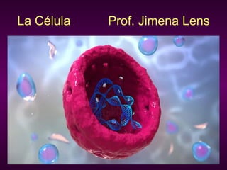 La Célula Prof. Jimena Lens
 