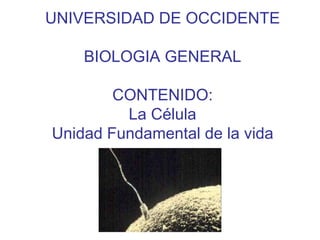 UNIVERSIDAD DE OCCIDENTE
BIOLOGIA GENERAL
CONTENIDO:
La Célula
Unidad Fundamental de la vida
 