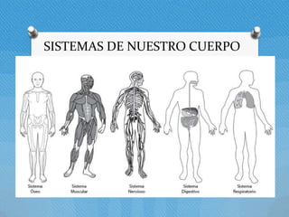 SISTEMAS DE NUESTRO CUERPO
 