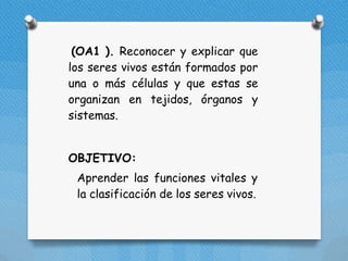 (OA1 ). Reconocer y explicar que
los seres vivos están formados por
una o más células y que estas se
organizan en tejidos, órganos y
sistemas.
OBJETIVO:
Aprender las funciones vitales y
la clasificación de los seres vivos.
 