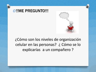 ¿Cómo son los niveles de organización
celular en las personas? ¿ Cómo se lo
explicarías a un compañero ?
O!!ME PREGUNTO!!!
 