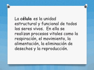 La célula es la unidad
estructural y funcional de todos
los seres vivos. En ella se
realizan procesos vitales como la
respiración, el movimiento, la
alimentación, la eliminación de
desechos y la reproducción.
 