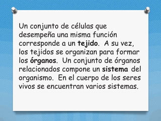 Un conjunto de células que
desempeña una misma función
corresponde a un tejido. A su vez,
los tejidos se organizan para formar
los órganos. Un conjunto de órganos
relacionados compone un sistema del
organismo. En el cuerpo de los seres
vivos se encuentran varios sistemas.
 