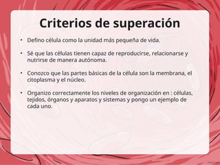 Criterios de superación
• Defino célula como la unidad más pequeña de vida.
• Sé que las células tienen capaz de reproducirse, relacionarse y
nutrirse de manera autónoma.
• Conozco que las partes básicas de la célula son la membrana, el
citoplasma y el núcleo.
• Organizo correctamente los niveles de organización en : células,
tejidos, órganos y aparatos y sistemas y pongo un ejemplo de
cada uno.
 