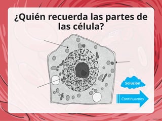 ¿Quién recuerda las partes de
las célula?
Solución
Continuamos
 