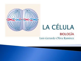 BIOLOGÍA
Luis Gerardo Oliva Ramírez
 