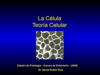 La Célula
Teoría Celular
Cátedra de Fisiología – Carrera de Enfermería – UNNE
Dr. Daniel Rubén Ruiz
 