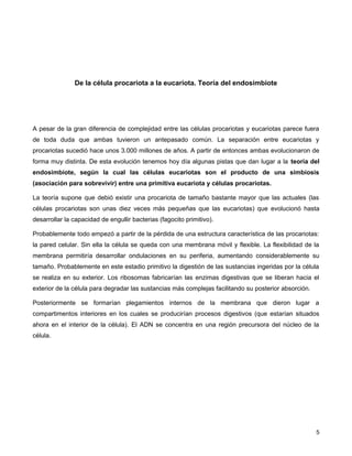 De la célula procariota a la eucariota. Teoría del endosimbiote
A pesar de la gran diferencia de complejidad entre las células procariotas y eucariotas parece fuera
de toda duda que ambas tuvieron un antepasado común. La separación entre eucariotas y
procariotas sucedió hace unos 3.000 millones de años. A partir de entonces ambas evolucionaron de
forma muy distinta. De esta evolución tenemos hoy día algunas pistas que dan lugar a la teoría del
endosimbiote, según la cual las células eucariotas son el producto de una simbiosis
(asociación para sobrevivir) entre una primitiva eucariota y células procariotas.
La teoría supone que debió existir una procariota de tamaño bastante mayor que las actuales (las
células procariotas son unas diez veces más pequeñas que las eucariotas) que evolucionó hasta
desarrollar la capacidad de engullir bacterias (fagocito primitivo).
Probablemente todo empezó a partir de la pérdida de una estructura característica de las procariotas:
la pared celular. Sin ella la célula se queda con una membrana móvil y flexible. La flexibilidad de la
membrana permitiría desarrollar ondulaciones en su periferia, aumentando considerablemente su
tamaño. Probablemente en este estadio primitivo la digestión de las sustancias ingeridas por la célula
se realiza en su exterior. Los ribosomas fabricarían las enzimas digestivas que se liberan hacia el
exterior de la célula para degradar las sustancias más complejas facilitando su posterior absorción.
Posteriormente se formarían plegamientos internos de la membrana que dieron lugar a
compartimentos interiores en los cuales se producirían procesos digestivos (que estarían situados
ahora en el interior de la célula). El ADN se concentra en una región precursora del núcleo de la
célula.
5
 