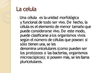 La celula
Una célula es launidad morfológica
y funcional de todo ser vivo. De hecho, la
célula es el elemento de menor tamaño que
puede considerarse vivo. De este modo,
puede clasificarse alos organismos vivos
según el número de células que posean: si
sólo tienen una,se les
denomina unicelulares (como pueden ser
los protozoos o las bacterias, organismos
microscópicos); si poseen más,se lesllama
pluricelulares.
 