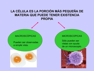 LA CÉLULA ES LA PORCIÓN MÁS PEQUEÑA DE
MATERIA QUE PUEDE TENER EXISTENCIA
PROPIA
MACROSCÓPICAS MICROSCOPICAS
Pueden ser observadas
a simple vista.
Sólo pueden ser
vistas con ayuda
de un microscopio.
 