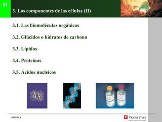 3.  Los componentes de las células (II) 3.1. Las biomol éculas orgánicas 3.2.  Gl úcidos o hidratos de carbono 3.3.  L ípidos 3.4. Proteínas 3.5. Ácidos nucleicos 01 
