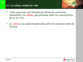 4.1.  La c élula, unidad de vida Todo organismo está formado por diminutas estructuras elementales, las  células , que presentan todas las características de un ser vivo. La  célula  es la unidad fundamental, tanto de estructura como de función. 01 