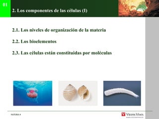 2. Los componentes de las c élulas (I)   2.1. Los niveles de organizaci ón de la materia 2.2. Los bioelementos 2.3. Las c élulas están constituidas por moléculas 01 