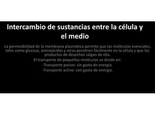 La permeabilidad de la membrana plasmática permite que las moléculas esenciales,
tales como glucosa, aminoácidos y otras penetren fácilmente en la célula y que los
productos de desechos salgan de ella.
El transporte de pequeñas moléculas se divide en:
-Transporte pasivo: sin gasto de energía.
-Transporte activo: con gasto de energía.
Intercambio de sustancias entre la célula y
el medio
 