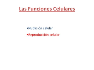 Las Funciones Celulares


   •Nutrición celular
   •Reproducción celular
 