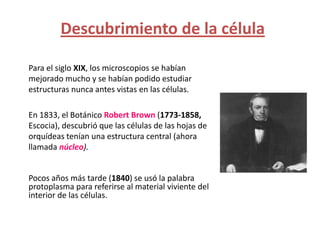 Descubrimiento de la célula

Para el siglo XIX, los microscopios se habían
mejorado mucho y se habían podido estudiar
estructuras nunca antes vistas en las células.

En 1833, el Botánico Robert Brown (1773-1858,
Escocia), descubrió que las células de las hojas de
orquídeas tenían una estructura central (ahora
llamada núcleo).


Pocos años más tarde (1840) se usó la palabra
protoplasma para referirse al material viviente del
interior de las células.
 