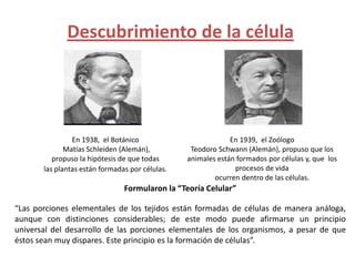 Descubrimiento de la célula




                En 1938, el Botánico                          En 1939, el Zoólogo
              Matías Schleiden (Alemán),          Teodoro Schwann (Alemán), propuso que los
          propuso la hipótesis de que todas      animales están formados por células y, que los
       las plantas están formadas por células.                 procesos de vida
                                                         ocurren dentro de las células.
                                Formularon la “Teoría Celular”

“Las porciones elementales de los tejidos están formadas de células de manera análoga,
aunque con distinciones considerables; de este modo puede afirmarse un principio
universal del desarrollo de las porciones elementales de los organismos, a pesar de que
éstos sean muy dispares. Este principio es la formación de células”.
 
