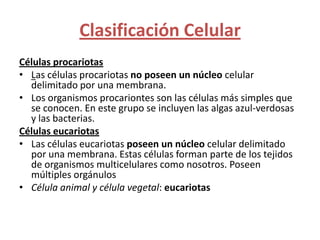 Clasificación Celular
Células procariotas
• Las células procariotas no poseen un núcleo celular
  delimitado por una membrana.
• Los organismos procariontes son las células más simples que
  se conocen. En este grupo se incluyen las algas azul-verdosas
  y las bacterias.
Células eucariotas
• Las células eucariotas poseen un núcleo celular delimitado
  por una membrana. Estas células forman parte de los tejidos
  de organismos multicelulares como nosotros. Poseen
  múltiples orgánulos
• Célula animal y célula vegetal: eucariotas
 