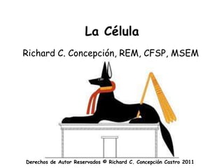 La Célula
Richard C. Concepción, REM, CFSP, MSEM




Derechos de Autor Reservados © Richard C. Concepción Castro 2011
 