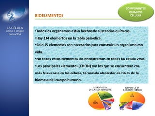 La celula como origen de la vida hps | PPSX