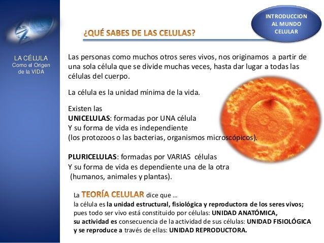 La celula como origen de la vida hps