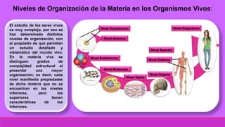 Niveles de Organización de la Materia en los Organismos Vivos:
El estudio de los seres vivos
es muy complejo, por eso se
han determinado distintos
niveles de organización, con
el propósito de que permitan
un estudio detallado y
sistemático del mundo vivo.
En la materia viva se
distinguen grados de
complejidad estructural al
presentar una mayor
organización; es decir, cada
nivel manifiesta propiedades
de dicha materia que no se
encuentran en los niveles
inferiores, pero los
superiores tienen
características de los
inferiores.
Nivel Atómico
Nivel Subatómico
Agua
Nivel Molecular
Nivel Tejido
Nivel Órgano
Nivel Sistema
Nivel Aparato
Nivel OrganismoNivel Subatómico
 