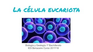 La célula eucariota
Biología y Geología 1º Bachillerato
IES Benazaire Curso 2017/18
 