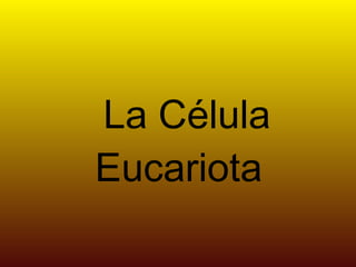 La Célula Eucariota 