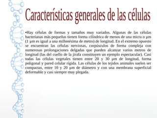Característicasgeneralesdelascélulas
●Hay células de formas y tamaños muy variados. Algunas de las células
bacterianas más pequeñas tienen forma cilíndrica de menos de una micra o µm
(1 µm es igual a una millonésima de metro) de longitud. En el extremo opuesto
se encuentran las células nerviosas, corpúsculos de forma compleja con
numerosas prolongaciones delgadas que pueden alcanzar varios metros de
longitud (las del cuello de la jirafa constituyen un ejemplo espectacular). Casi
todas las células vegetales tienen entre 20 y 30 µm de longitud, forma
poligonal y pared celular rígida. Las células de los tejidos animales suelen ser
compactas, entre 10 y 20 µm de diámetro y con una membrana superficial
deformable y casi siempre muy plegada.
 