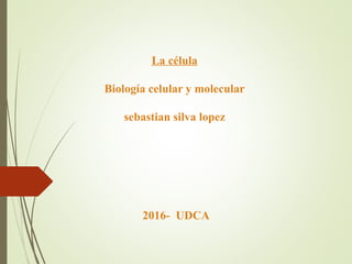La célula
Biología celular y molecular
sebastian silva lopez
2016- UDCA
 