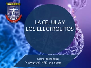 Laura Hernández
V-27539336 HPS:-191-00030
LA CELULAY
LOS ELECTROLITOS
 