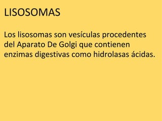 LISOSOMAS  Los lisosomas son vesículas procedentes del Aparato De Golgi que contienen enzimas digestivas como hidrolasas ácidas. 