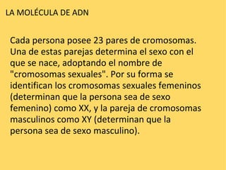 LA MOLÉCULA DE ADN  Cada persona posee 23 pares de cromosomas. Una de estas parejas determina el sexo con el que se nace, adoptando el nombre de "cromosomas sexuales". Por su forma se identifican los cromosomas sexuales femeninos (determinan que la persona sea de sexo femenino) como XX, y la pareja de cromosomas masculinos como XY (determinan que la persona sea de sexo masculino). 