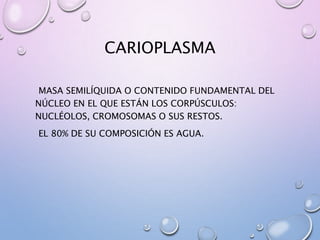 La celula (organelos) | PPTX