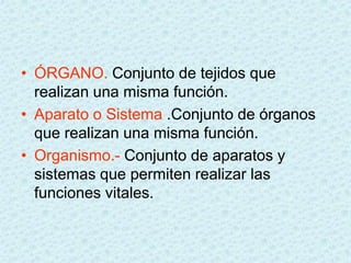 • ÓRGANO. Conjunto de tejidos que
  realizan una misma función.
• Aparato o Sistema .Conjunto de órganos
  que realizan una misma función.
• Organismo.- Conjunto de aparatos y
  sistemas que permiten realizar las
  funciones vitales.
 