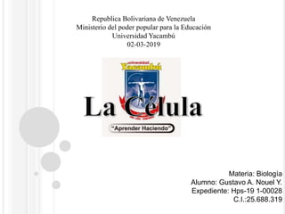 Republica Bolivariana de Venezuela
Ministerio del poder popular para la Educación
Universidad Yacambú
02-03-2019
Materia: Biología
Alumno: Gustavo A. Nouel Y.
Expediente: Hps-19 1-00028
C.I.:25.688.319
 