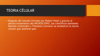 TEORIA CÉLULAR
• Despues del estudio iniciado por Robert Hook y gracias al
perfeccionamiento del MICROSCOPIO ,los científicos alemanes
Mathias schleinden y Theodore schwann se estabelcio la teoría
celular que sostiene que:
 