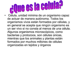 Célula, unidad mínima de un organismo capaz de actuar de manera autónoma. Todos los organismos vivos están formados por células, y en general se acepta que ningún organismo es un ser vivo si no consta al menos de una célula. Algunos organismos microscópicos, como bacterias y protozoos, son células únicas, mientras que los animales y plantas están formados por muchos millones de células organizadas en tejidos y órganos  ¿Que es la celula? 