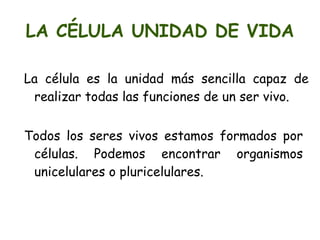 DESCUBRIENDO LA CÉLULA Robert Hooke. Científico inglés. 