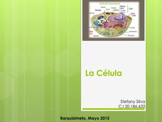 La Célula
Barquisimeto, Mayo 2015
Stefany Silva
C.I 20,186,632
 