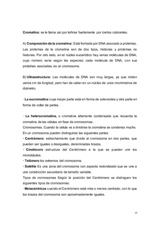 13
Cromatina: se le llama así por teñirse fuertemente por ciertos colorantes.
A) Composición de la cromatina: Está formada por DNA asociado a proteínas.
Las proteínas de la cromatina son de dos tipos, histonas y proteínas no
histonas. Por otro lado, en el núcleo eucariótico hay varias moléculas de DNA,
cuyo número varía según las especies; cada molécula de DNA, con sus
proteínas asociadas, es un cromosoma.
B) Ultraestructura: Las moléculas de DNA son muy largas, ya que miden
varios cm de longitud, pero han de caber en un núcleo de unos micrómetros de
diámetro.
· La eucromatina cuya mayor parte está en forma de solenoides y otra parte en
forma de collar de perlas.
· La heterocromatina, o cromatina altamente condensada que recuerda la
cromatina de las células en fase de cromosomas.
Cromosomas. Cuando la célula va a dividirse la cromatina se condensa mucho.
En un cromosoma pueden distinguirse las siguientes partes:
· Centrómero: estrechamiento que divide al cromosoma en dos partes, que
pueden ser iguales o desiguales, denominadas brazos.
· Cinetócoro estructura del Centrómero a la que se pueden unir los
microtúbulos.
· Telómero los extremos del cromosoma.
· Satélite Es una zona del cromosoma con aspecto redondeado que se une a
una constricción secundaria de tamaño variable.
Tipos de cromosomas Según la posición del Centrómero se distinguen los
siguientes tipos de cromosomas:
· Metacéntricos cuando el Centrómero está más o menos centrado, con lo que
los brazos del cromosoma son aproximadamente iguales.
 
