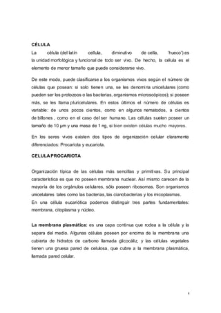 4
CÉLULA
La célula (del latín cellula, diminutivo de cella, ‘hueco’) es
la unidad morfológica y funcional de todo ser vivo. De hecho, la célula es el
elemento de menor tamaño que puede considerarse vivo.
De este modo, puede clasificarse a los organismos vivos según el número de
células que posean: si solo tienen una, se les denomina unicelulares (como
pueden ser los protozoos o las bacterias, organismos microscópicos); si poseen
más, se les llama pluricelulares. En estos últimos el número de células es
variable: de unos pocos cientos, como en algunos nematodos, a cientos
de billones , como en el caso del ser humano. Las células suelen poseer un
tamaño de 10 µm y una masa de 1 ng, si bien existen células mucho mayores.
En los seres vivos existen dos tipos de organización celular claramente
diferenciados: Procariota y eucariota.
CELULA PROCARIOTA
Organización típica de las células más sencillas y primitivas. Su principal
característica es que no poseen membrana nuclear. Así mismo carecen de la
mayoría de los orgánulos celulares, sólo poseen ribosomas. Son organismos
unicelulares tales como las bacterias, las cianobacterias y los micoplasmas.
En una célula eucariótica podemos distinguir tres partes fundamentales:
membrana, citoplasma y núcleo.
La membrana plasmática: es una capa continua que rodea a la célula y la
separa del medio. Algunas células poseen por encima de la membrana una
cubierta de hidratos de carbono llamada glicocáliz, y las células vegetales
tienen una gruesa pared de celulosa, que cubre a la membrana plasmática,
llamada pared celular.
 