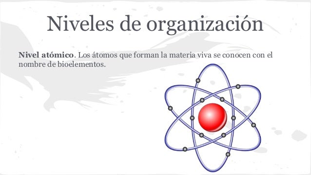 La célula, unidad de vida