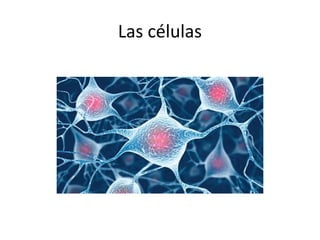 Las células
 