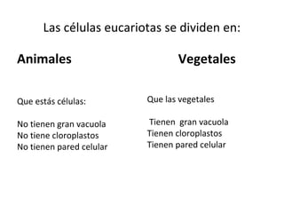 Las células eucariotas se dividen en:
Animales
Que estás células:
No tienen gran vacuola
No tiene cloroplastos
No tienen pared celular
Vegetales
Que las vegetales
Tienen gran vacuola
Tienen cloroplastos
Tienen pared celular
 